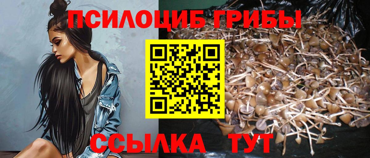 Галлюциногенные грибы прущие грибы Великий Новгород